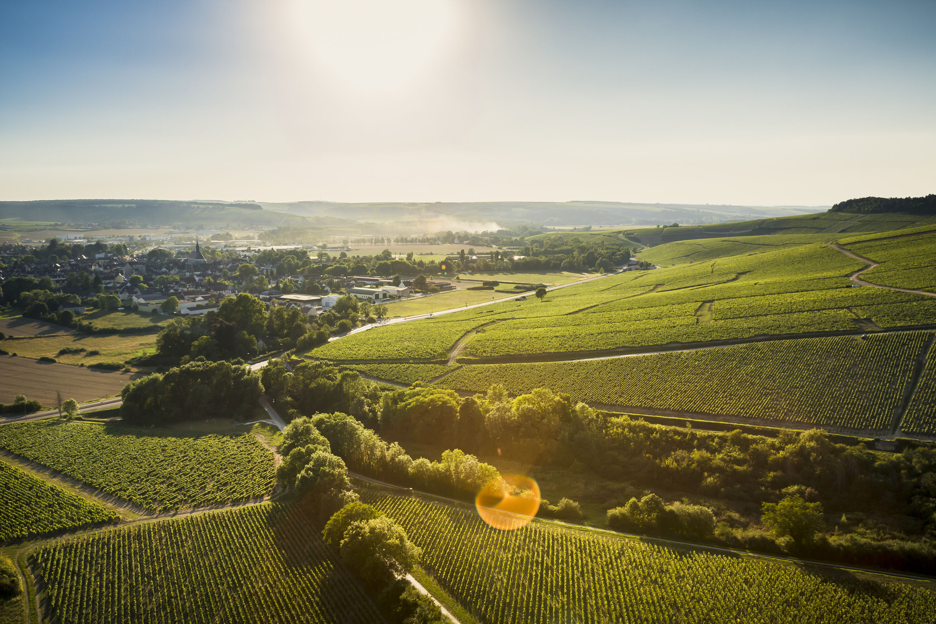 Vignes de Chablis Grand Cru